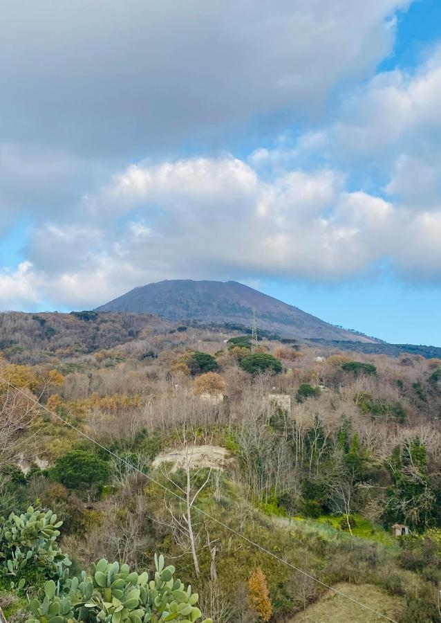 Domus Agricolae Corallina Torre del Greco Kültér fotó
