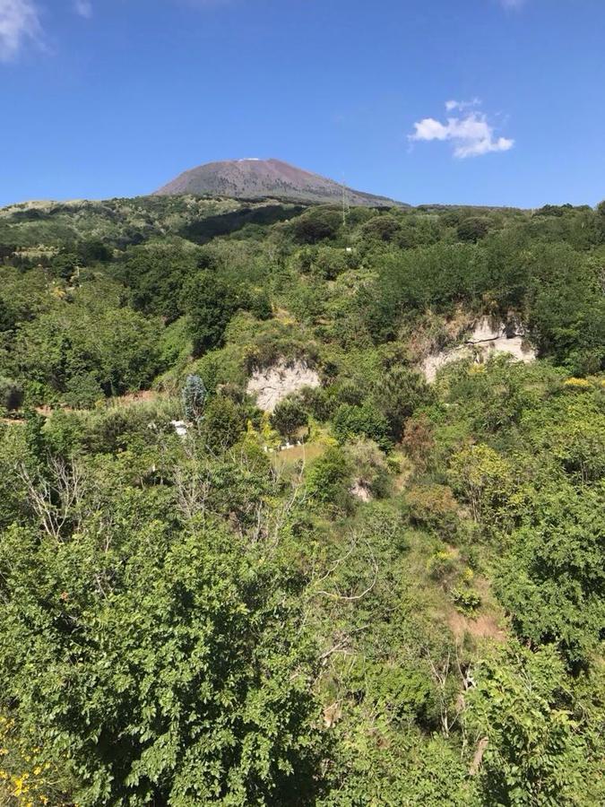 Domus Agricolae Corallina Torre del Greco Kültér fotó