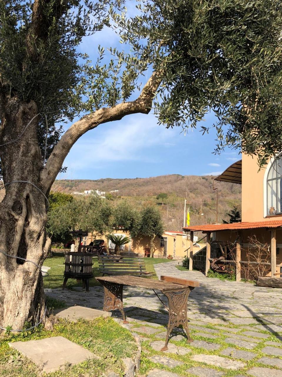 Domus Agricolae Corallina Torre del Greco Kültér fotó